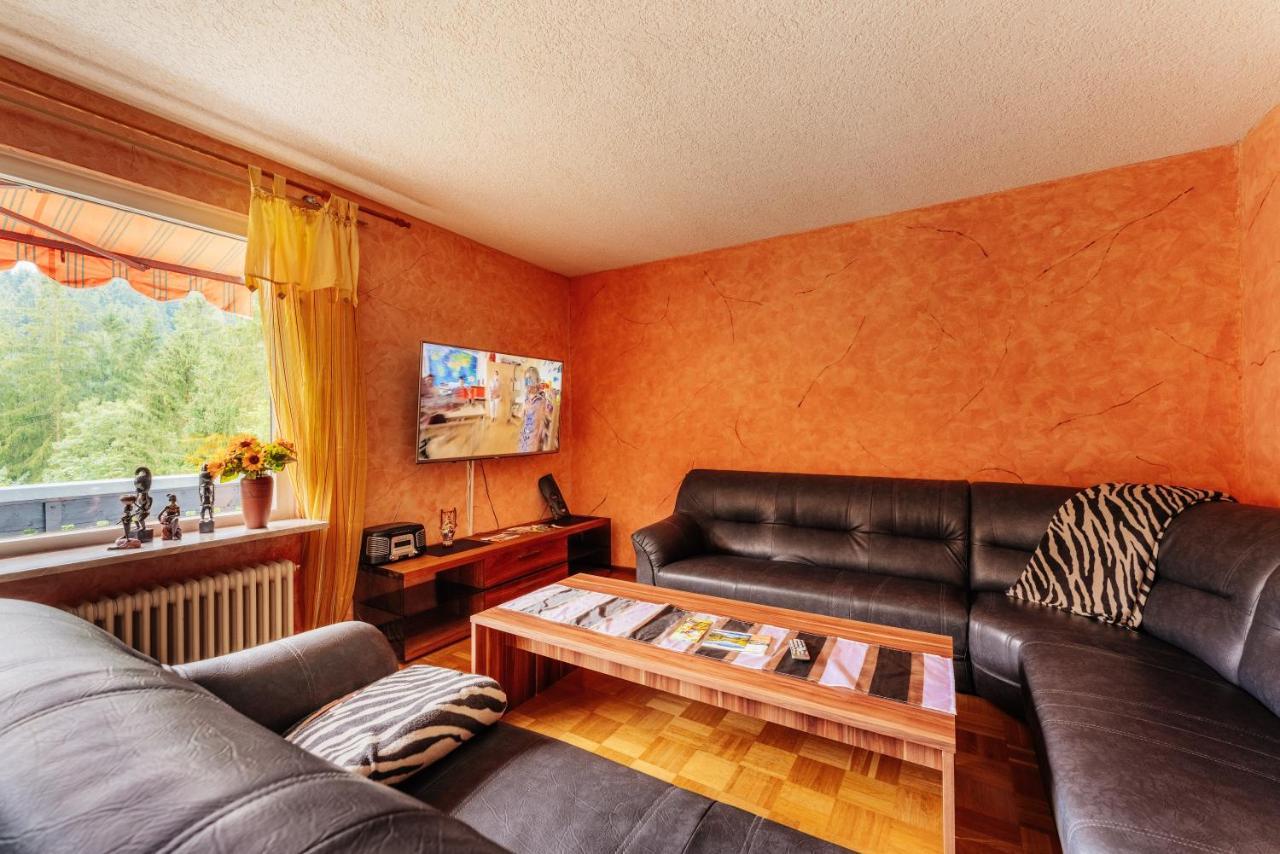 Ferienwohnungen Und Ferienhaus Hafermarkt Wildemann Extérieur photo
