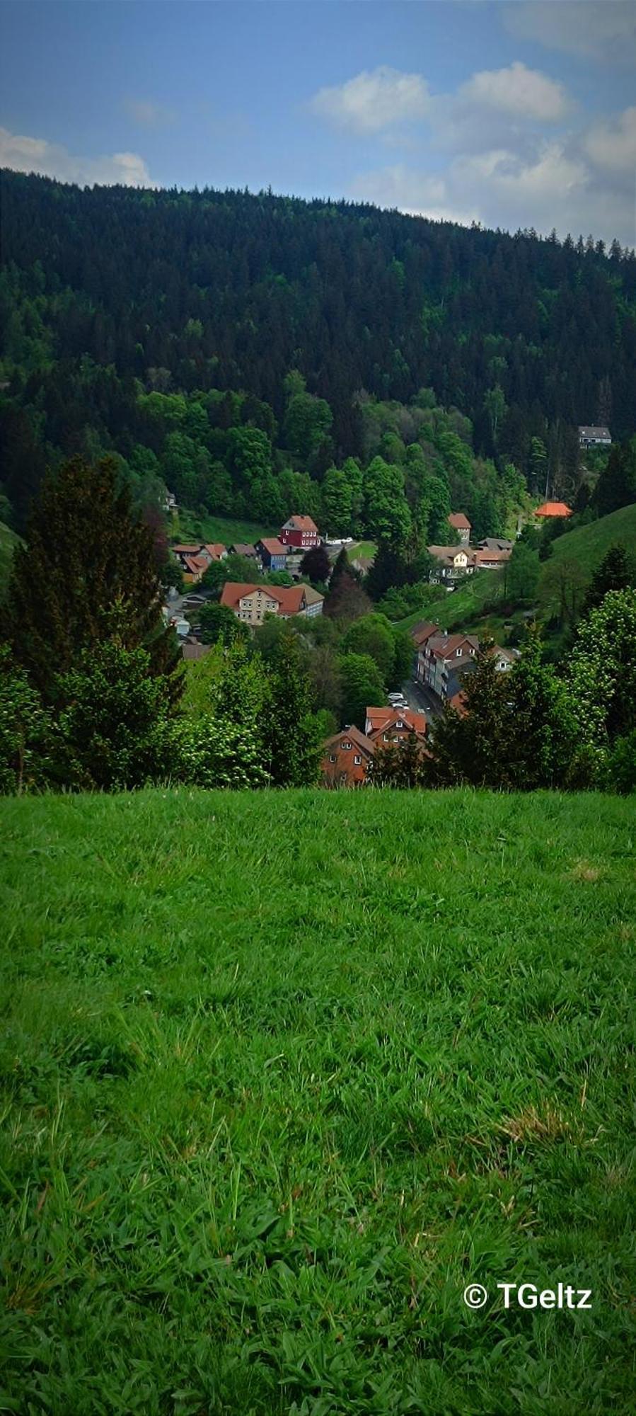Ferienwohnungen Und Ferienhaus Hafermarkt Wildemann Extérieur photo